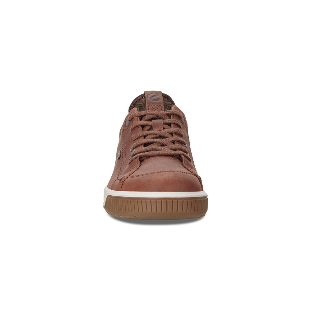 Tenis Hombre - ECCO Byway Treds - Marrom - VCB648230